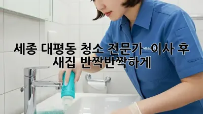 세종 대평동 청소 전문가 ✨ 이사 후 새집, 반짝반짝하게!