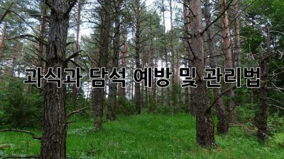 과식과 담석: 예방 및 관리법